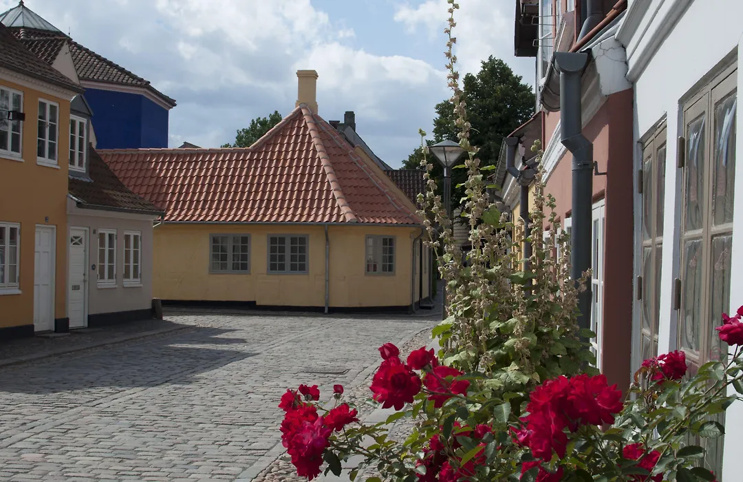 City Hotel Nattergalen-1
