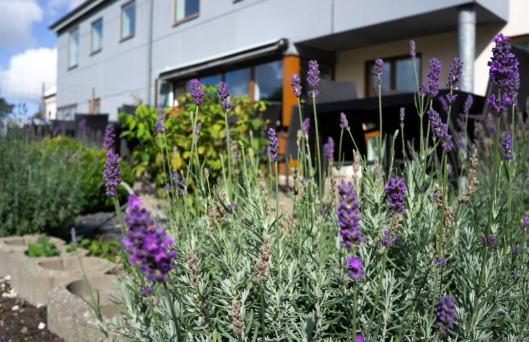 Feriehus Thy - I Hjertet Af Thy-1