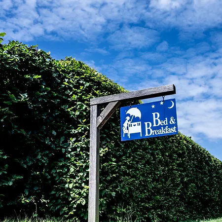 Engholmbb-3