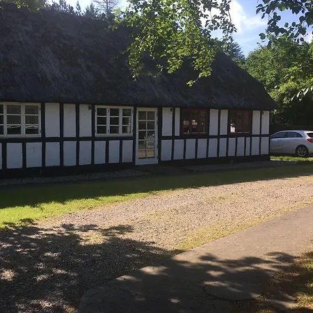 Dancamps Trelde Naes-3