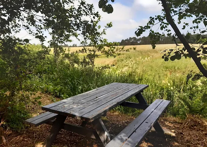 Rejkjaer Camping Hytter & Lejligheder