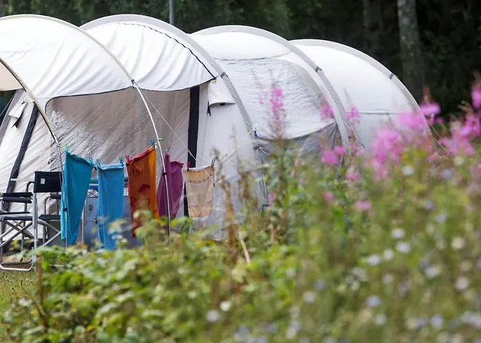 Hasle Camping