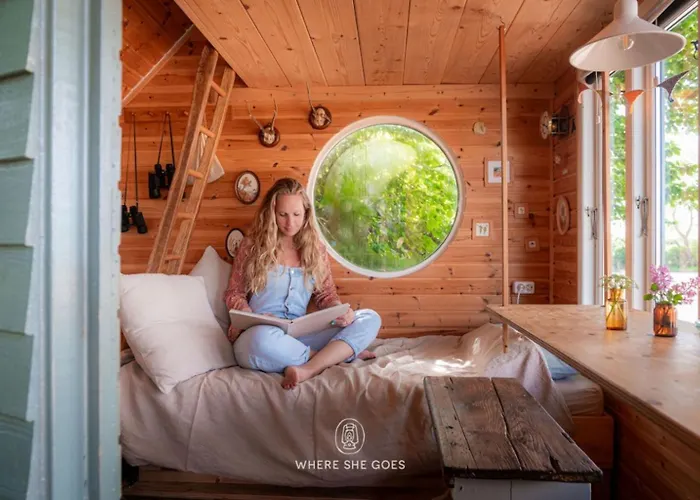 Treehouse Escape