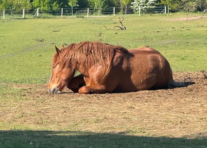 Billund Farm Holiday