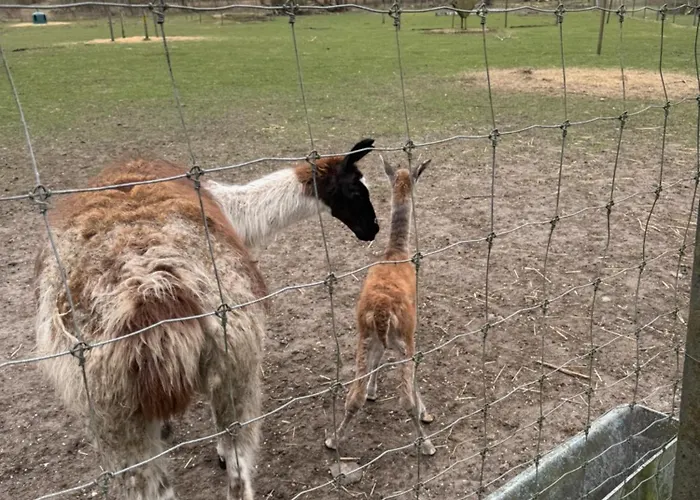 Billund Farm Holiday