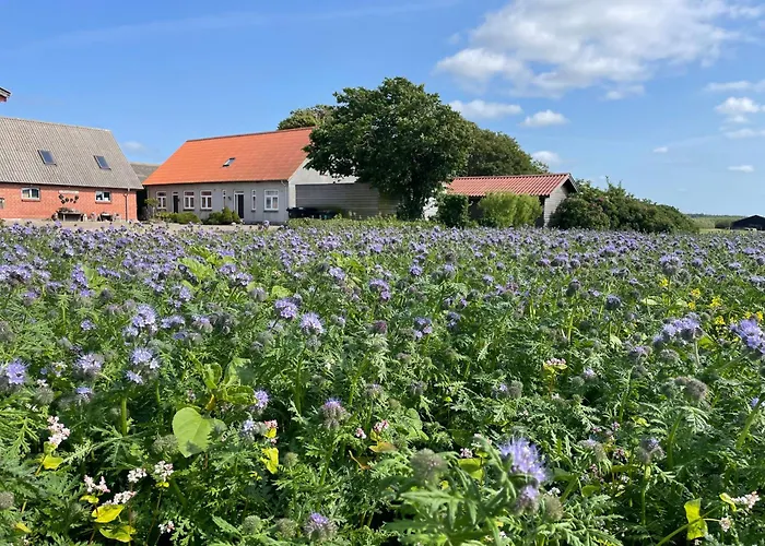 Nygaard B&B