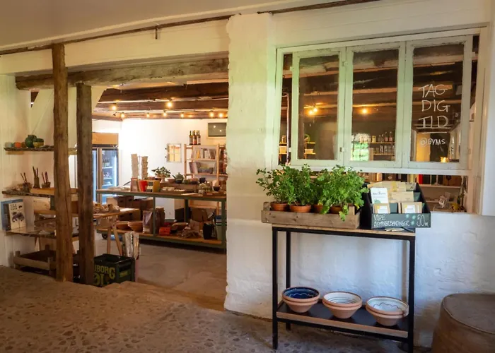 Byaasgaard - Naturecamp & Microfarm
