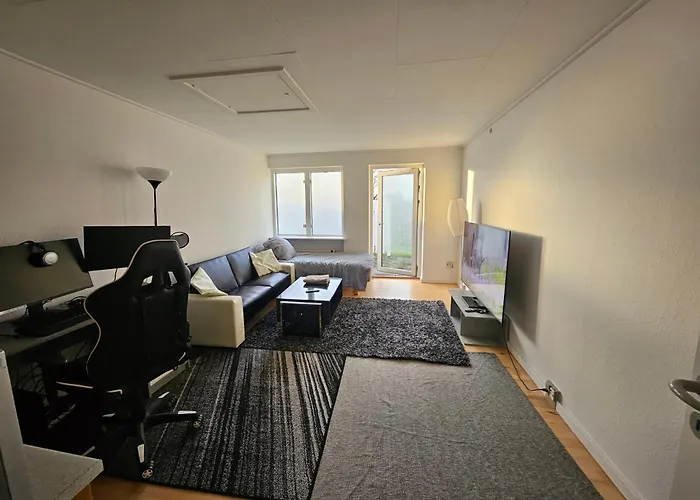 Cozy One Room Apartment