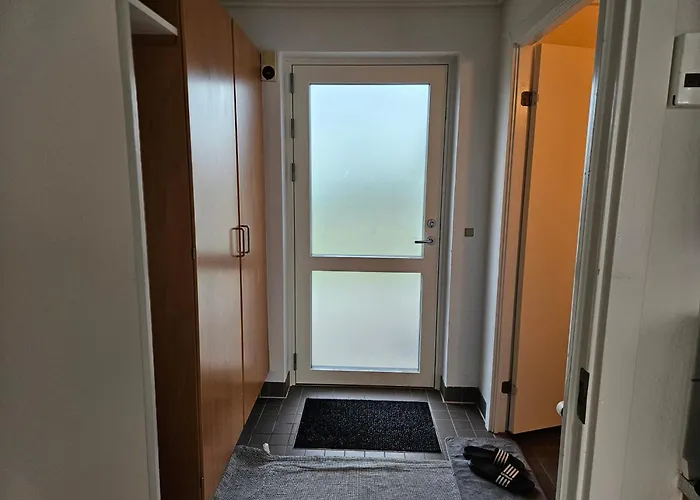 Cozy One Room Apartment