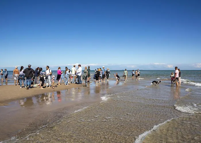 Dcu-Camping Albaek Strand