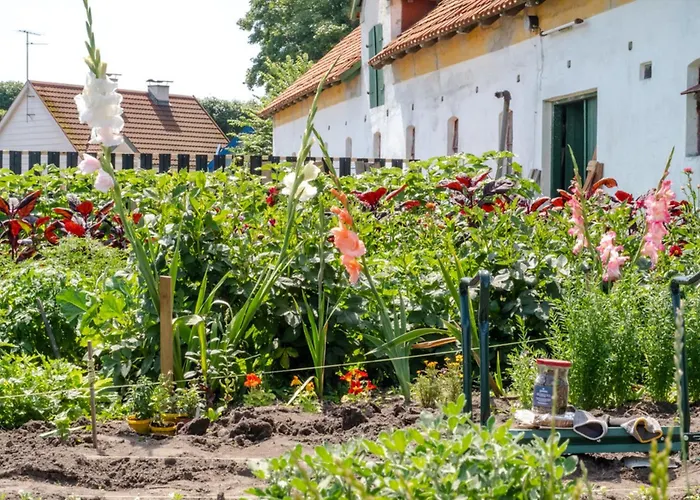 Noddehaven
