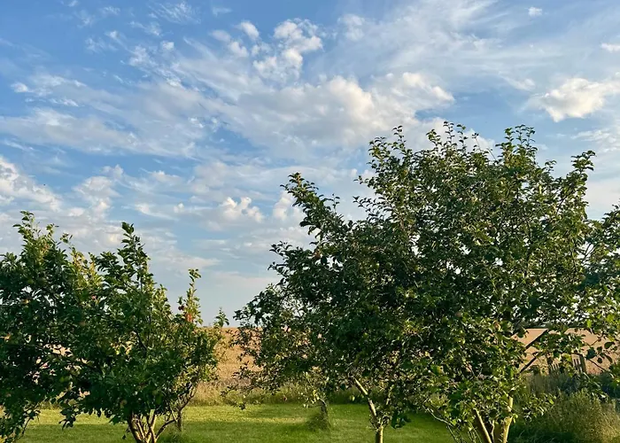 B&B Langagergaard