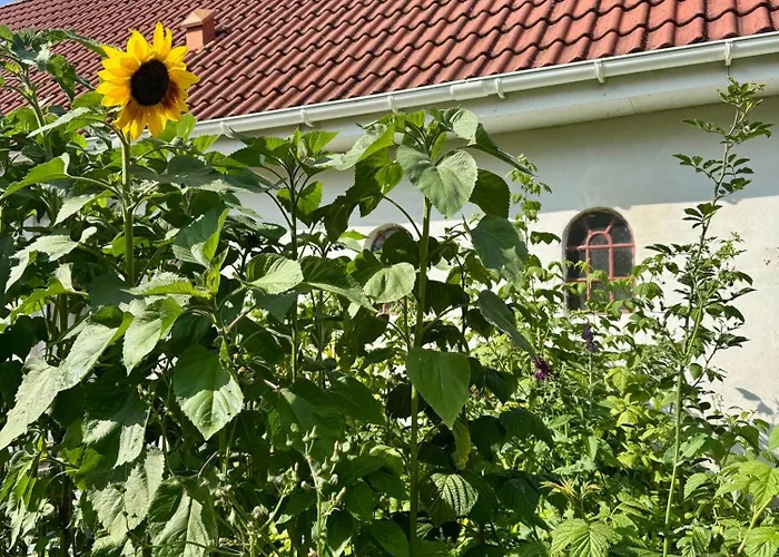 B&B Langagergaard