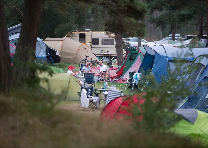 Dueodde Camping